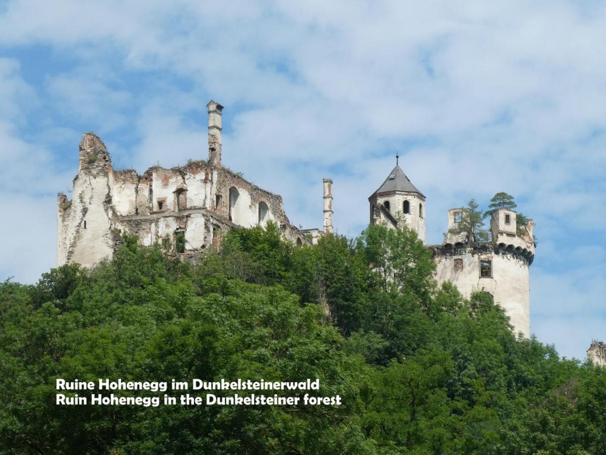 Gaestehaus Am Weinberg - Schlager Prinzersdorf Eksteriør bilde